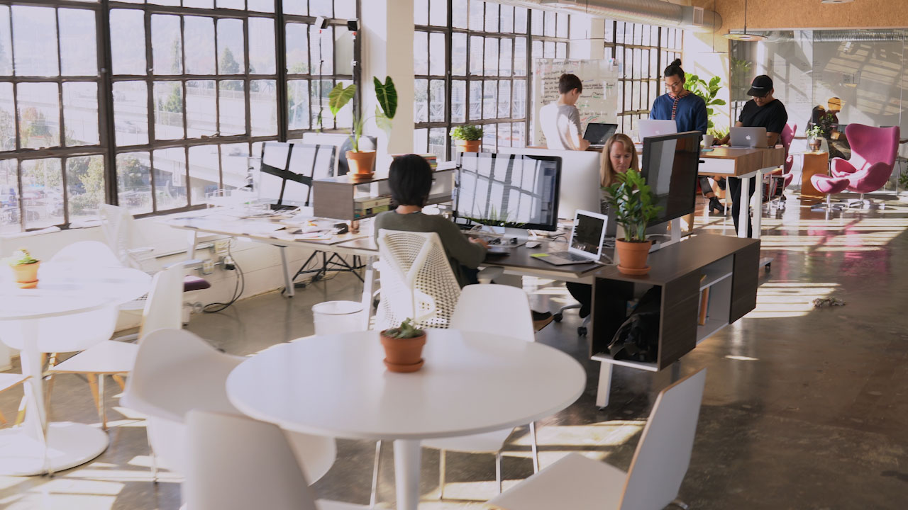 Picture of Particle's logo on the wall